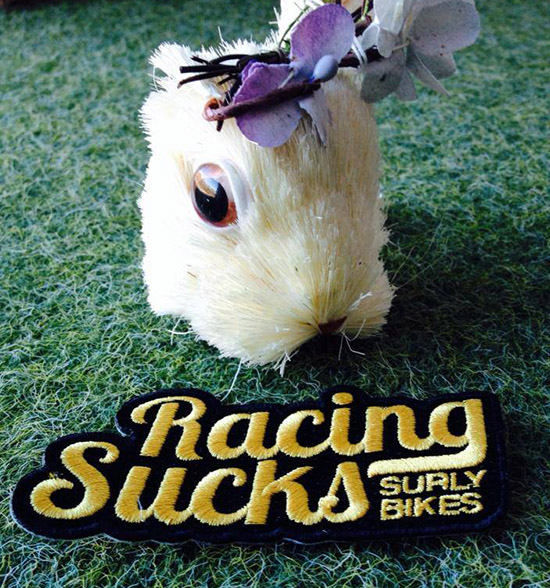 racing-sucks